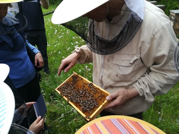 Workshop with beekeeper