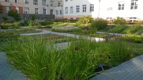 university garden