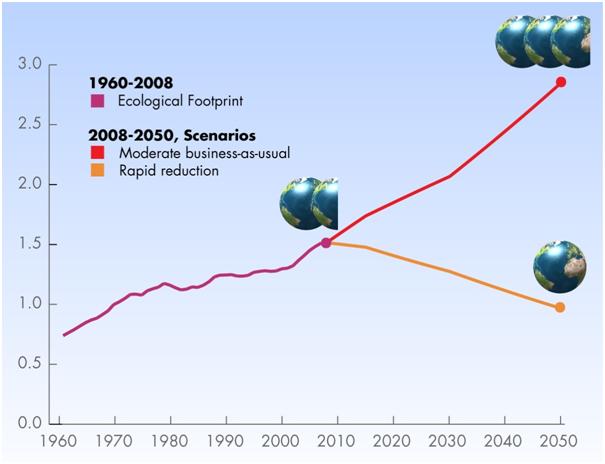 Global Ecological footprint