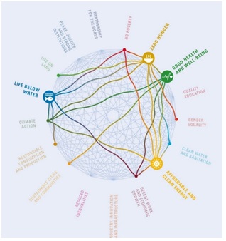 International Science Council: SDGs Guide to Interactions, 2018