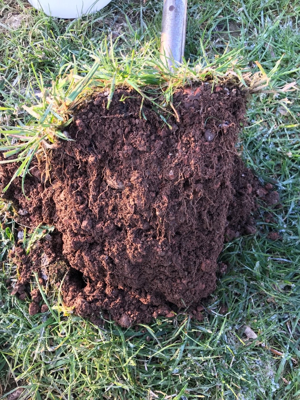 Improved tree substrate at Bayernkaserne, Munich