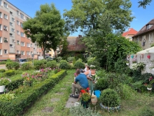 Gdansk neighborhood gardens