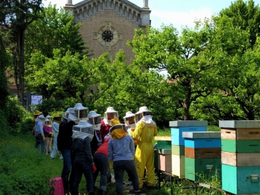 Cesena Beehive BeePathNet