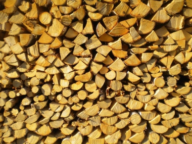 Wood pile