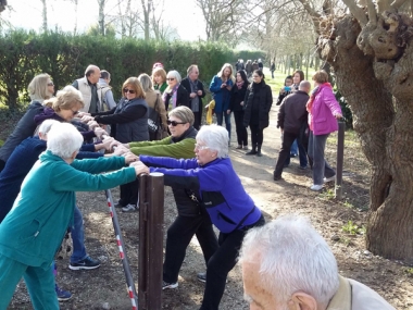 Inclusive cities healthy ageing